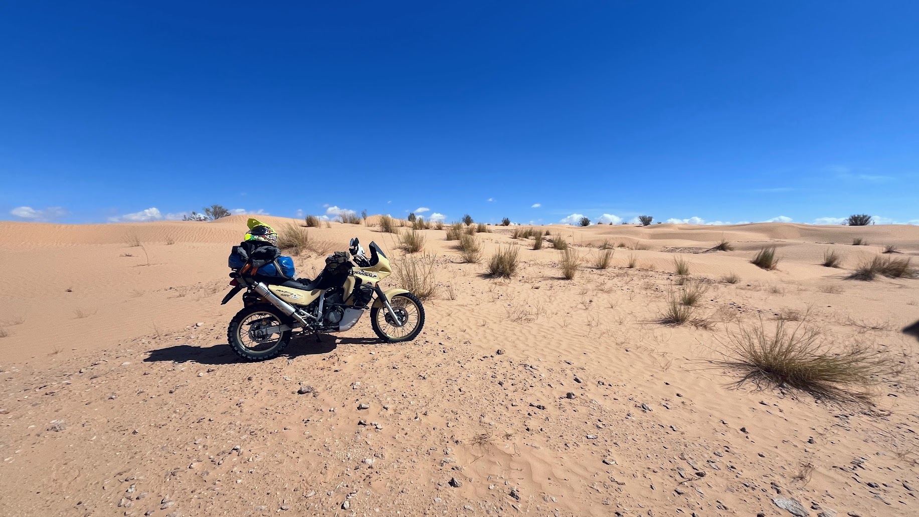 Honda transalp 600 úprava podvozku, přečasování motoru, modifikace převodovky  - Sahara 